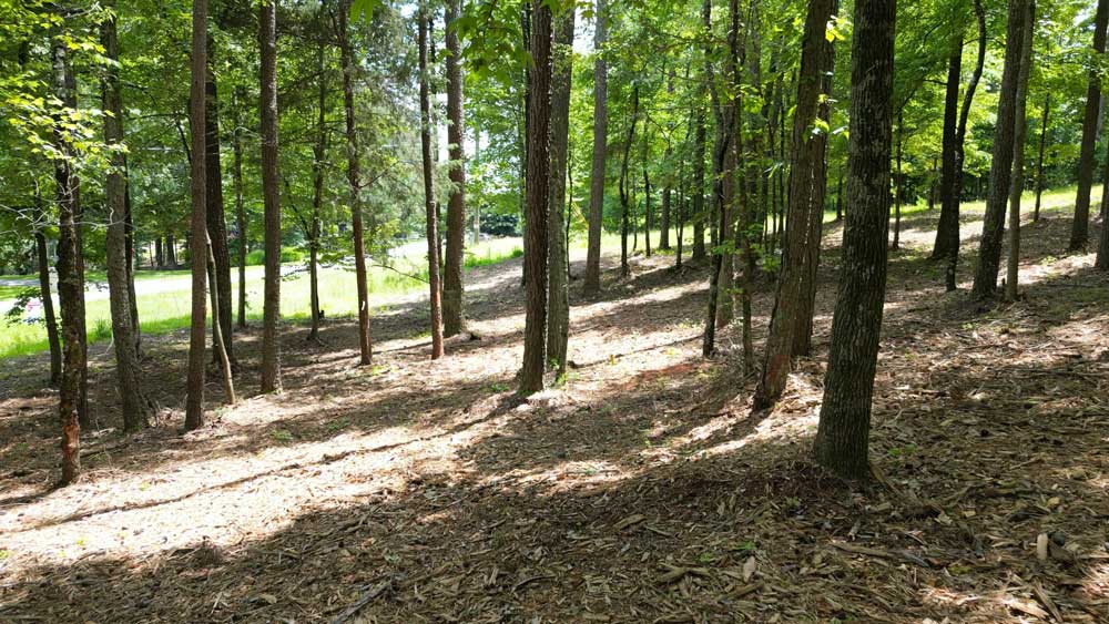 1860-Commons-North-Lot-WEB custom home site evaluation North Georgia