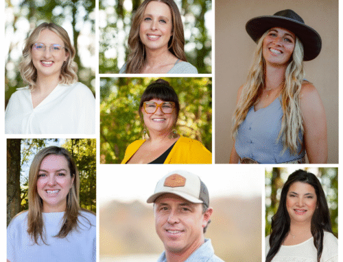 Luxury Home Building Process: What to Expect From First Meeting to Move-In